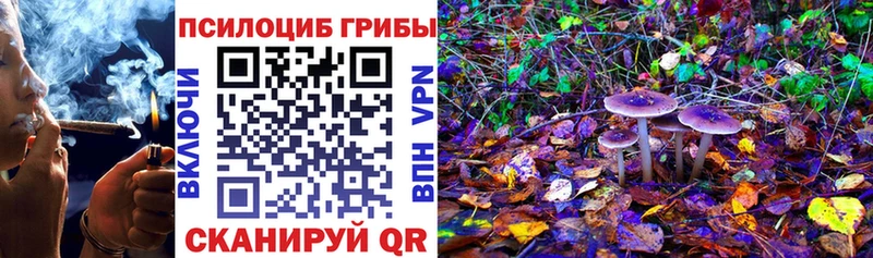 Галлюциногенные грибы Psilocybe  Обоянь 